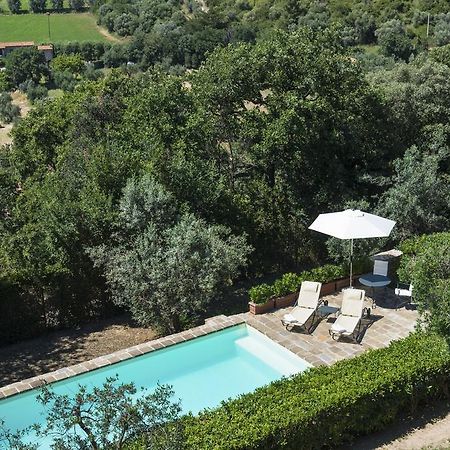 L' Insolita Venturina Terme Extérieur photo
